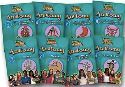 Anatomy Super 8 Pack