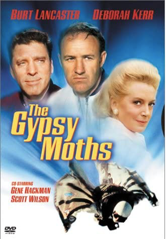 The Gypsy Moths